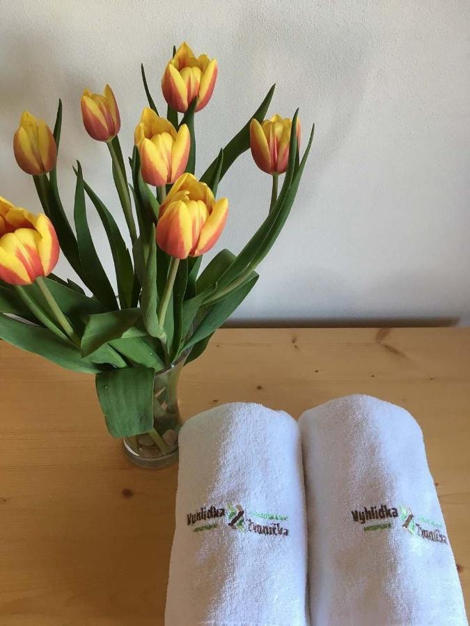 Horsky Apartman Vyhlidka Rejviz Zlaté Hory Exteriör bild
